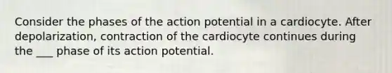 Consider the phases of the action potential in a cardiocyte. After depolarization, contraction of the cardiocyte continues during the ___ phase of its action potential.