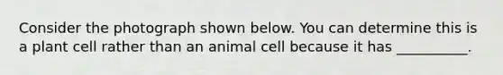 Consider the photograph shown below. You can determine this is a plant cell rather than an animal cell because it has __________.