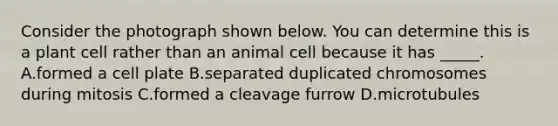 Consider the photograph shown below. You can determine this is a plant cell rather than an animal cell because it has _____. A.formed a cell plate B.separated duplicated chromosomes during mitosis C.formed a cleavage furrow D.microtubules