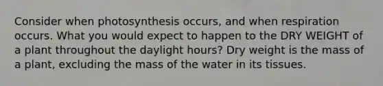 Consider when photosynthesis occurs, and when respiration occurs. What you would expect to happen to the DRY WEIGHT of a plant throughout the daylight hours? Dry weight is the mass of a plant, excluding the mass of the water in its tissues.