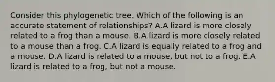 Consider this phylogenetic tree. Which of the following is an accurate statement of relationships? A.A lizard is more closely related to a frog than a mouse. B.A lizard is more closely related to a mouse than a frog. C.A lizard is equally related to a frog and a mouse. D.A lizard is related to a mouse, but not to a frog. E.A lizard is related to a frog, but not a mouse.