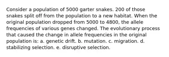 Consider a population of 5000 garter snakes. 200 of those snakes split off from the population to a new habitat. When the original population dropped from 5000 to 4800, the allele frequencies of various genes changed. The evolutionary process that caused the change in allele frequencies in the original population is: a. genetic drift. b. mutation. c. migration. d. stabilizing selection. e. disruptive selection.