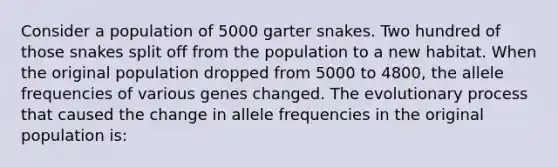 Consider a population of 5000 garter snakes. Two hundred of those snakes split off from the population to a new habitat. When the original population dropped from 5000 to 4800, the allele frequencies of various genes changed. The evolutionary process that caused the change in allele frequencies in the original population is: