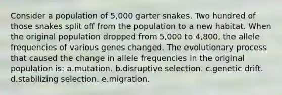 Consider a population of 5,000 garter snakes. Two hundred of those snakes split off from the population to a new habitat. When the original population dropped from 5,000 to 4,800, the allele frequencies of various genes changed. The evolutionary process that caused the change in allele frequencies in the original population is: a.mutation. b.disruptive selection. c.genetic drift. d.stabilizing selection. e.migration.