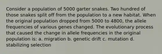 Consider a population of 5000 garter snakes. Two hundred of those snakes split off from the population to a new habitat. When the original population dropped from 5000 to 4800, the allele frequencies of various genes changed. The evolutionary process that caused the change in allele frequencies in the original population is: a. migration b. genetic drift c. mutation d. stabilizing selection