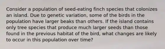 Consider a population of seed-eating finch species that colonizes an island. Due to genetic variation, some of the birds in the population have larger beaks than others. If the island contains only tree species that produce much larger seeds than those found in the previous habitat of the bird, what changes are likely to occur in this population over time?