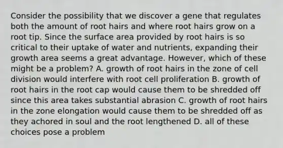 Consider the possibility that we discover a gene that regulates both the amount of root hairs and where root hairs grow on a root tip. Since the <a href='https://www.questionai.com/knowledge/kEtsSAPENL-surface-area' class='anchor-knowledge'>surface area</a> provided by root hairs is so critical to their uptake of water and nutrients, expanding their growth area seems a great advantage. However, which of these might be a problem? A. growth of root hairs in the zone of <a href='https://www.questionai.com/knowledge/kjHVAH8Me4-cell-division' class='anchor-knowledge'>cell division</a> would interfere with root cell proliferation B. growth of root hairs in the root cap would cause them to be shredded off since this area takes substantial abrasion C. growth of root hairs in the zone elongation would cause them to be shredded off as they achored in soul and the root lengthened D. all of these choices pose a problem