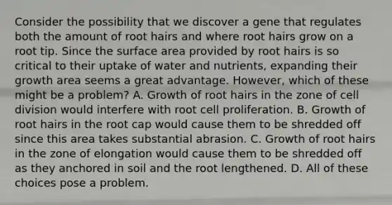 Consider the possibility that we discover a gene that regulates both the amount of root hairs and where root hairs grow on a root tip. Since the surface area provided by root hairs is so critical to their uptake of water and nutrients, expanding their growth area seems a great advantage. However, which of these might be a problem? A. Growth of root hairs in the zone of cell division would interfere with root cell proliferation. B. Growth of root hairs in the root cap would cause them to be shredded off since this area takes substantial abrasion. C. Growth of root hairs in the zone of elongation would cause them to be shredded off as they anchored in soil and the root lengthened. D. All of these choices pose a problem.