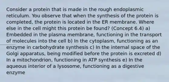 Consider a protein that is made in the rough endoplasmic reticulum. You observe that when the synthesis of the protein is completed, the protein is located in the ER membrane. Where else in the cell might this protein be found? (Concept 6.4) a) Embedded in the plasma membrane, functioning in the transport of molecules into the cell b) In the cytoplasm, functioning as an enzyme in carbohydrate synthesis c) In the internal space of the Golgi apparatus, being modified before the protein is excreted d) In a mitochondrion, functioning in ATP synthesis e) In the aqueous interior of a lysosome, functioning as a digestive enzyme