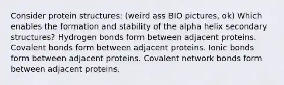 Consider protein structures: (weird ass BIO pictures, ok) Which enables the formation and stability of the alpha helix secondary structures? Hydrogen bonds form between adjacent proteins. Covalent bonds form between adjacent proteins. Ionic bonds form between adjacent proteins. Covalent network bonds form between adjacent proteins.