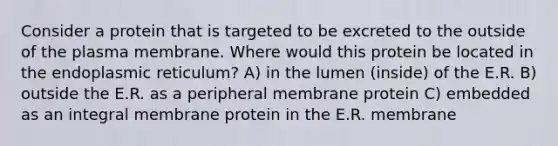 Consider a protein that is targeted to be excreted to the outside of the plasma membrane. Where would this protein be located in the endoplasmic reticulum? A) in the lumen (inside) of the E.R. B) outside the E.R. as a peripheral membrane protein C) embedded as an integral membrane protein in the E.R. membrane