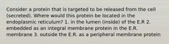 Consider a protein that is targeted to be released from the cell (secreted). Where would this protein be located in the endoplasmic reticulum? 1. in the lumen (inside) of the E.R 2. embedded as an integral membrane protein in the E.R. membrane 3. outside the E.R. as a peripheral membrane protein