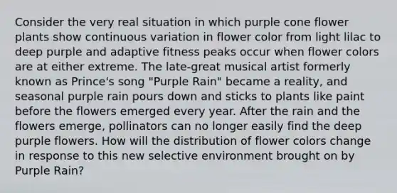 Consider the very real situation in which purple cone flower plants show continuous variation in flower color from light lilac to deep purple and adaptive fitness peaks occur when flower colors are at either extreme. The late-great musical artist formerly known as Prince's song "Purple Rain" became a reality, and seasonal purple rain pours down and sticks to plants like paint before the flowers emerged every year. After the rain and the flowers emerge, pollinators can no longer easily find the deep purple flowers. How will the distribution of flower colors change in response to this new selective environment brought on by Purple Rain?