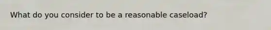 What do you consider to be a reasonable caseload?