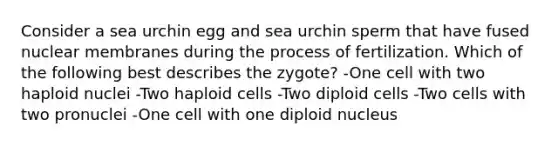 Consider a sea urchin egg and sea urchin sperm that have fused nuclear membranes during the process of fertilization. Which of the following best describes the zygote? -One cell with two haploid nuclei -Two haploid cells -Two diploid cells -Two cells with two pronuclei -One cell with one diploid nucleus