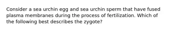 Consider a sea urchin egg and sea urchin sperm that have fused plasma membranes during the process of fertilization. Which of the following best describes the zygote?