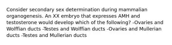 Consider secondary sex determination during mammalian organogenesis. An XX embryo that expresses AMH and testosterone would develop which of the following? -Ovaries and Wolffian ducts -Testes and Wolffian ducts -Ovaries and Mullerian ducts -Testes and Mullerian ducts