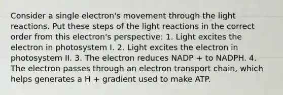 Consider a single electron's movement through the light reactions. Put these steps of the light reactions in the correct order from this electron's perspective: 1. Light excites the electron in photosystem I. 2. Light excites the electron in photosystem II. 3. The electron reduces NADP + to NADPH. 4. The electron passes through an electron transport chain, which helps generates a H + gradient used to make ATP.