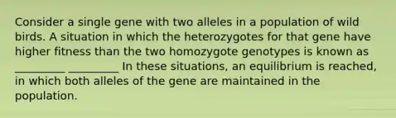 Consider a single gene with two alleles in a population of wild birds. A situation in which the heterozygotes for that gene have higher fitness than the two homozygote genotypes is known as _________ _________ In these situations, an equilibrium is reached, in which both alleles of the gene are maintained in the population.