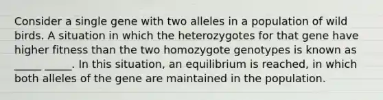 Consider a single gene with two alleles in a population of wild birds. A situation in which the heterozygotes for that gene have higher fitness than the two homozygote genotypes is known as _____ _____. In this situation, an equilibrium is reached, in which both alleles of the gene are maintained in the population.