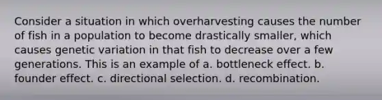 Consider a situation in which overharvesting causes the number of fish in a population to become drastically smaller, which causes genetic variation in that fish to decrease over a few generations. This is an example of a. bottleneck effect. b. founder effect. c. directional selection. d. recombination.