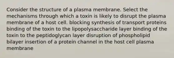 Consider the structure of a plasma membrane. Select the mechanisms through which a toxin is likely to disrupt the plasma membrane of a host cell. blocking synthesis of transport proteins binding of the toxin to the lipopolysaccharide layer binding of the toxin to the peptidoglycan layer disruption of phospholipid bilayer insertion of a protein channel in the host cell plasma membrane