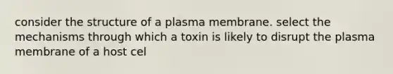 consider the structure of a plasma membrane. select the mechanisms through which a toxin is likely to disrupt the plasma membrane of a host cel