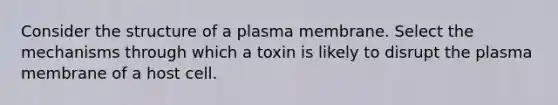 Consider the structure of a plasma membrane. Select the mechanisms through which a toxin is likely to disrupt the plasma membrane of a host cell.