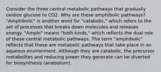 Consider the three central metabolic pathways that gradually oxidize glucose to CO2. Why are these amphibolic pathways? "Amphibolic" is another word for "catabolic," which refers to the set of processes that breaks down molecules and releases energy. "Amphi" means "both kinds," which reflects the dual role of these central metabolic pathways. The term "amphibolic" reflects that these are metabolic pathways that take place in an aqueous environment. Although they are catabolic, the precursor metabolites and reducing power they generate can be diverted for biosynthesis (anabolism).