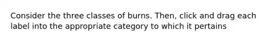 Consider the three classes of burns. Then, click and drag each label into the appropriate category to which it pertains