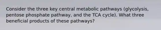 Consider the three key central metabolic pathways (glycolysis, pentose phosphate pathway, and the TCA cycle). What three beneficial products of these pathways?