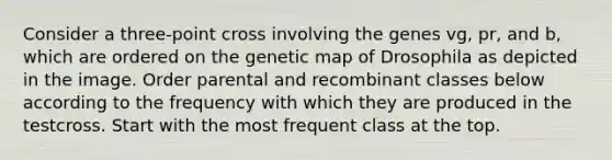 Consider a three-point cross involving the genes vg, pr, and b, which are ordered on the genetic map of Drosophila as depicted in the image. Order parental and recombinant classes below according to the frequency with which they are produced in the testcross. Start with the most frequent class at the top.