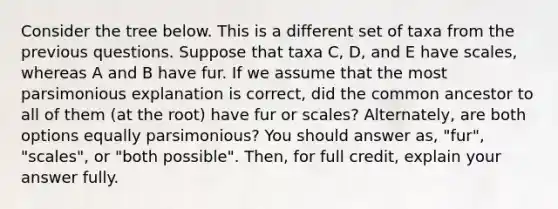 Consider the tree below. This is a different set of taxa from the previous questions. Suppose that taxa C, D, and E have scales, whereas A and B have fur. If we assume that the most parsimonious explanation is correct, did the common ancestor to all of them (at the root) have fur or scales? Alternately, are both options equally parsimonious? You should answer as, "fur", "scales", or "both possible". Then, for full credit, explain your answer fully.