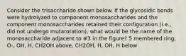 Consider the trisaccharide shown below. If the glycosidic bonds were hydrolyzed to component monosaccharides and the component monosaccharides retained their configuration (i.e., did not undergo mutarotation), what would be the name of the monosaccharide adjacent to #3 in the figure? 5 membered ring; O-, OH, H, CH2OH above, CH2OH, H, OH, H below