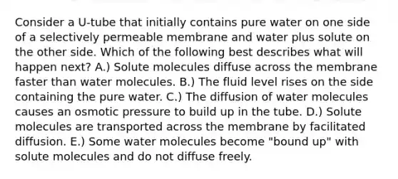 Consider a U-tube that initially contains pure water on one side of a selectively permeable membrane and water plus solute on the other side. Which of the following best describes what will happen next? A.) Solute molecules diffuse across the membrane faster than water molecules. B.) The fluid level rises on the side containing the pure water. C.) The diffusion of water molecules causes an osmotic pressure to build up in the tube. D.) Solute molecules are transported across the membrane by facilitated diffusion. E.) Some water molecules become "bound up" with solute molecules and do not diffuse freely.