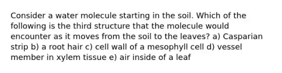 Consider a water molecule starting in the soil. Which of the following is the third structure that the molecule would encounter as it moves from the soil to the leaves? a) Casparian strip b) a root hair c) cell wall of a mesophyll cell d) vessel member in xylem tissue e) air inside of a leaf