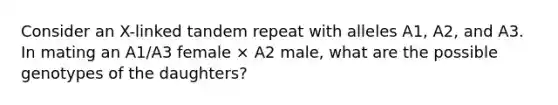 Consider an X-linked tandem repeat with alleles A1, A2, and A3. In mating an A1/A3 female × A2 male, what are the possible genotypes of the daughters?