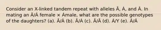 Consider an X-linked tandem repeat with alleles Ā, Á, and Ǎ. In mating an Ā/Ǎ female × Ámale, what are the possible genotypes of the daughters? (a). Ā/Ǎ (b). Ā/Á (c). Ā/Ā (d). Á/Y (e). Ǎ/Ǎ