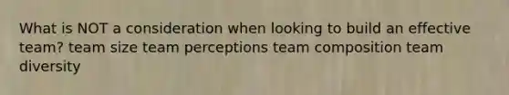 What is NOT a consideration when looking to build an effective team? team size team perceptions team composition team diversity