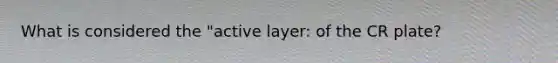 What is considered the "active layer: of the CR plate?