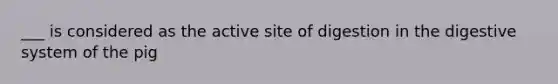 ___ is considered as the active site of digestion in the digestive system of the pig