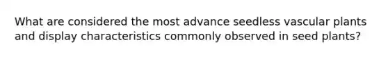 What are considered the most advance seedless vascular plants and display characteristics commonly observed in seed plants?