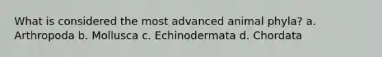 What is considered the most advanced animal phyla? a. Arthropoda b. Mollusca c. Echinodermata d. Chordata