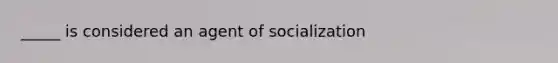 _____ is considered an agent of socialization