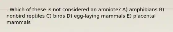 . Which of these is not considered an amniote? A) amphibians B) nonbird reptiles C) birds D) egg-laying mammals E) placental mammals