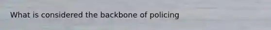 What is considered the backbone of policing