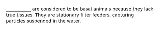 ___________ are considered to be basal animals because they lack true tissues. They are stationary filter feeders, capturing particles suspended in the water.