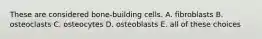 These are considered bone-building cells. A. fibroblasts B. osteoclasts C. osteocytes D. osteoblasts E. all of these choices