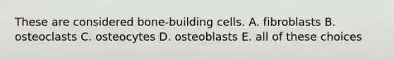 These are considered bone-building cells. A. fibroblasts B. osteoclasts C. osteocytes D. osteoblasts E. all of these choices