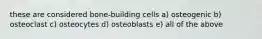these are considered bone-building cells a) osteogenic b) osteoclast c) osteocytes d) osteoblasts e) all of the above